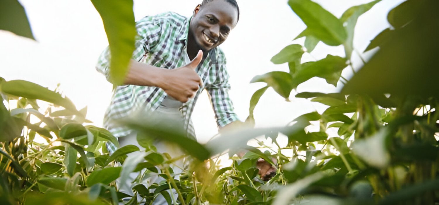 Farmer